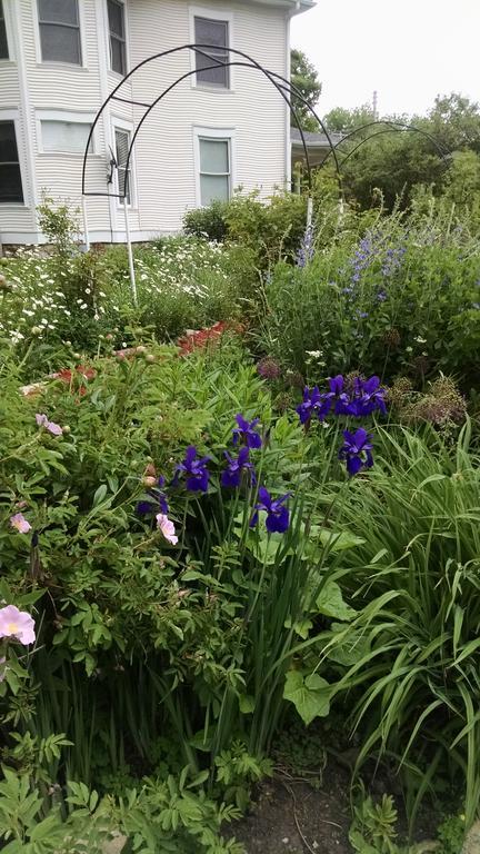 Covington Manor B&B Cambridge Екстериор снимка